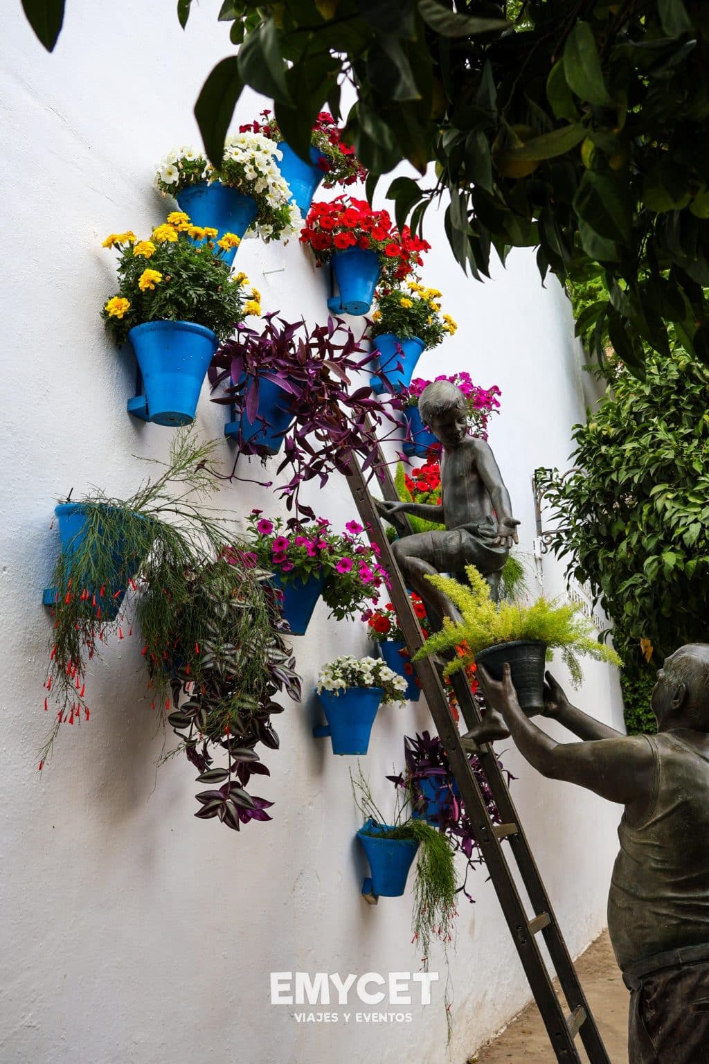 487938338_1066304312189800_2606664788172737908_n